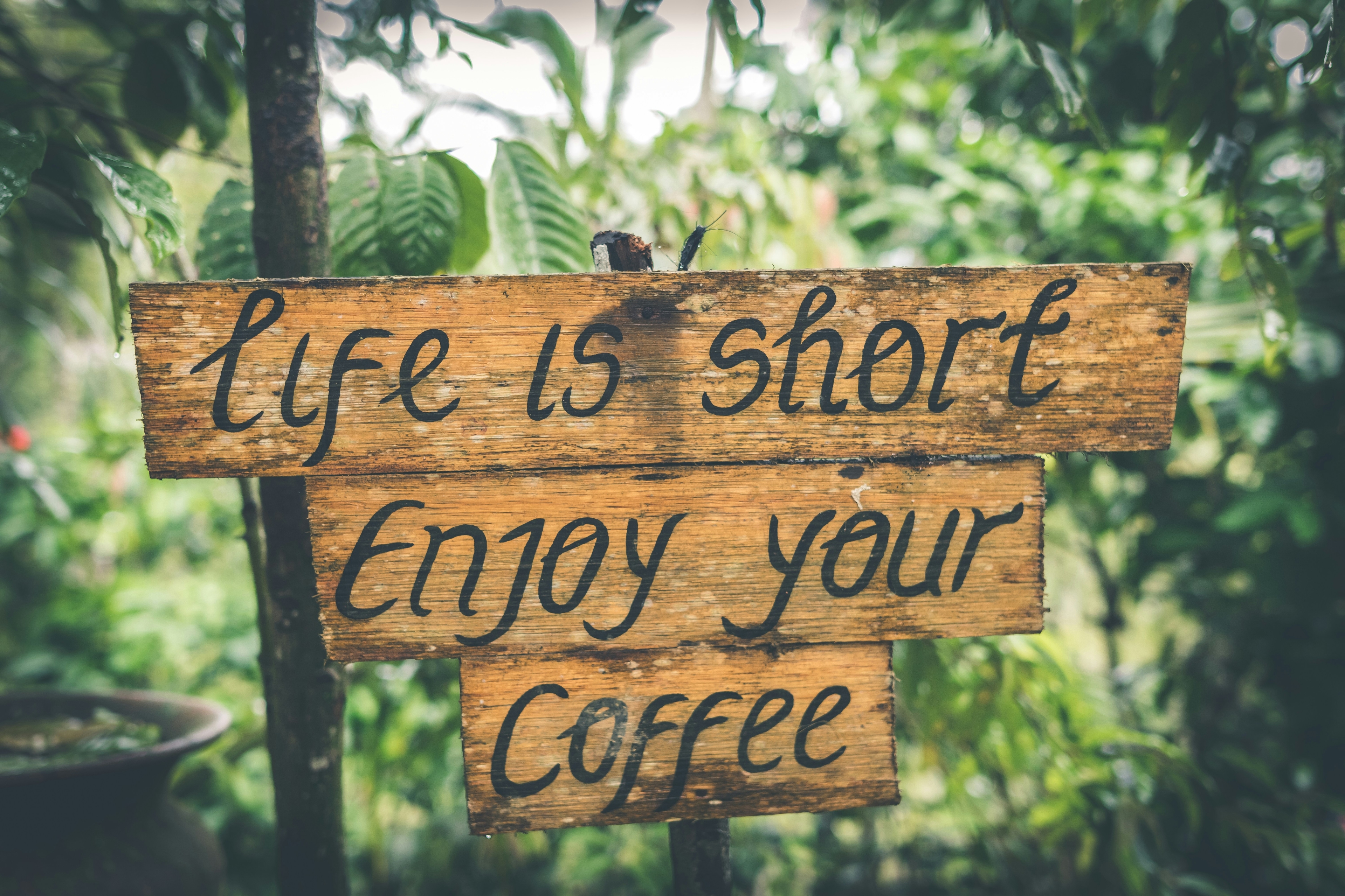 life is short, enjoy your coffee