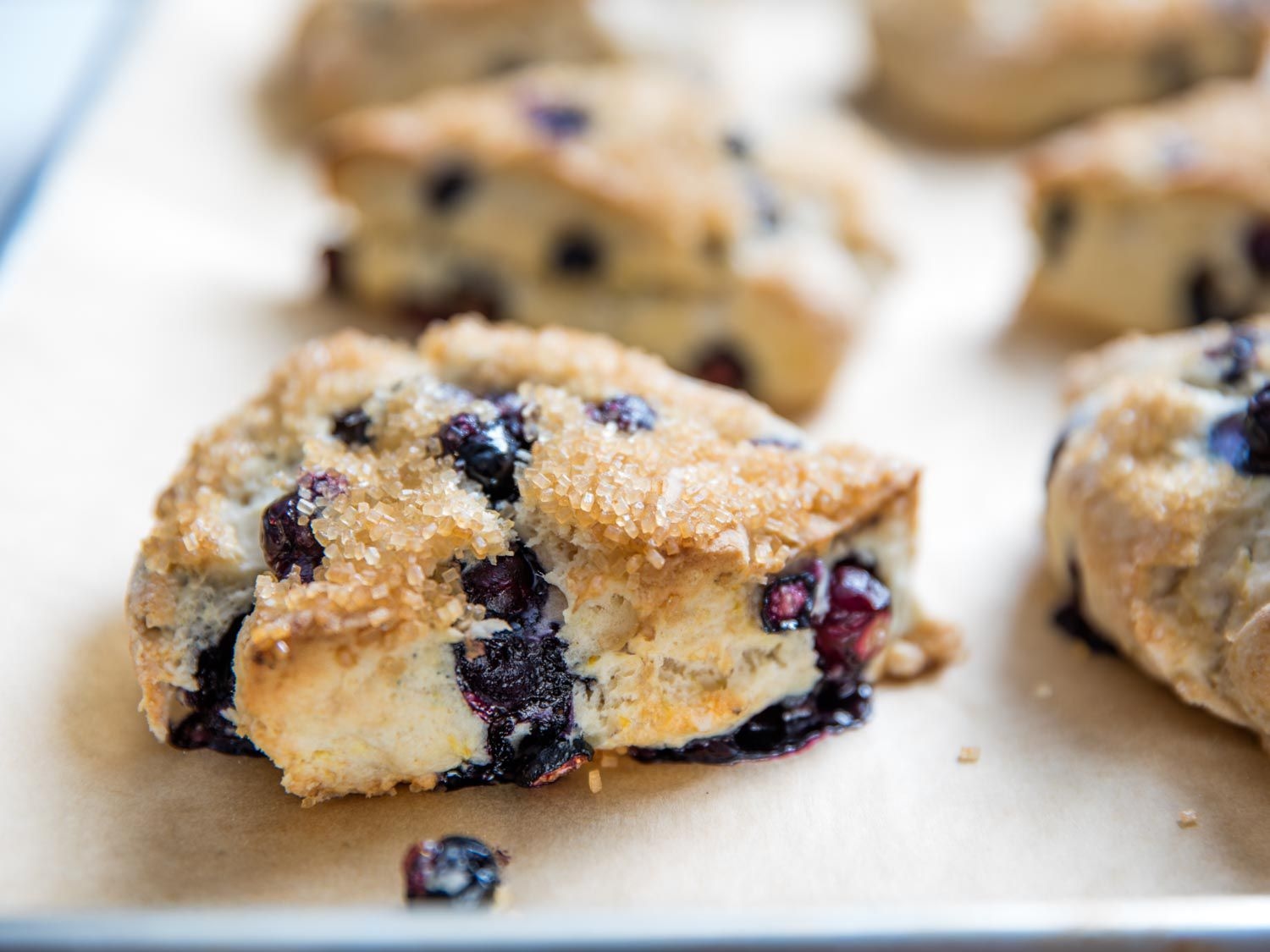 Blueberry Lemon Scone picture