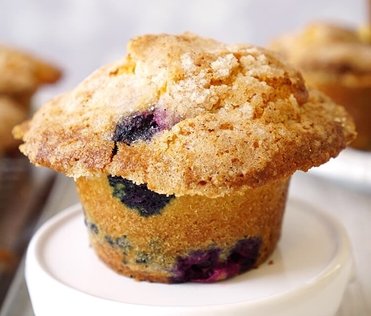 Blueberry Muffin picture